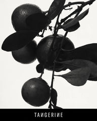 Fenty Eau De Parfum Travel Set + Refills