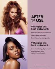 The Protection Posse Instant Damage Repair Treatment + Heat Protectant Set