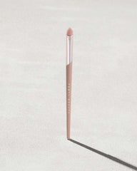 Precise Definition Eyeshadow Brush 220