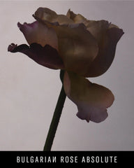 Fenty Eau De Parfum Travel Set + Refills